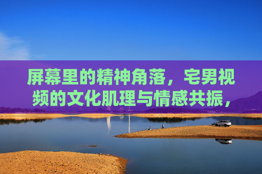 屏幕里的精神角落，宅男视频的文化肌理与情感共振，屏幕精神角落，宅男视频的文化肌理与情感共振