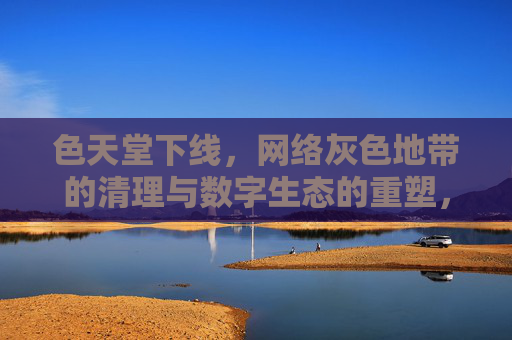 色天堂下线，网络灰色地带的清理与数字生态的重塑，色天堂下线，清理灰色地带，重塑数字生态