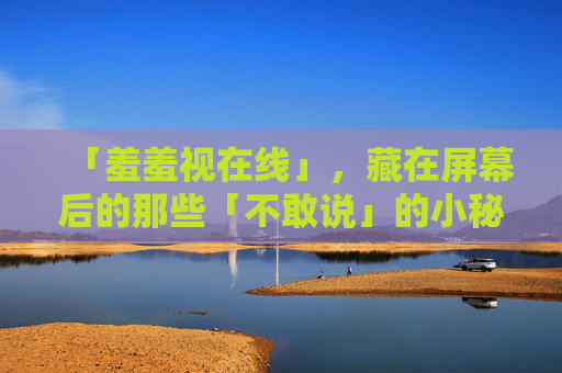「羞羞视在线」，藏在屏幕后的那些「不敢说」的小秘密，屏幕后的羞羞视，不敢说的小秘密