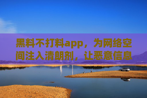 黑料不打料app，为网络空间注入清朗剂，让恶意信息无处遁形