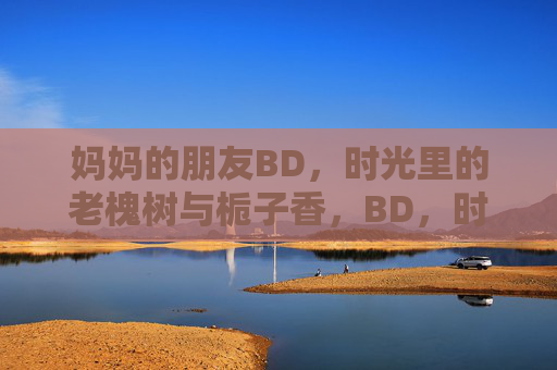 妈妈的朋友BD，时光里的老槐树与栀子香，BD，时光里的老槐树与栀子香