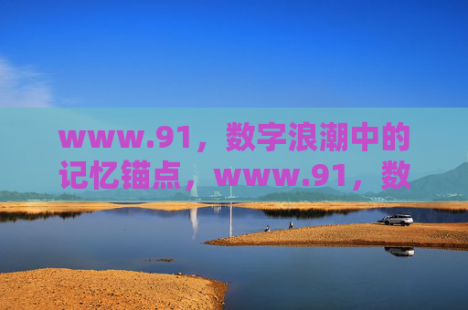 www.91，数字浪潮中的记忆锚点，www.91，数字浪潮中的记忆锚点