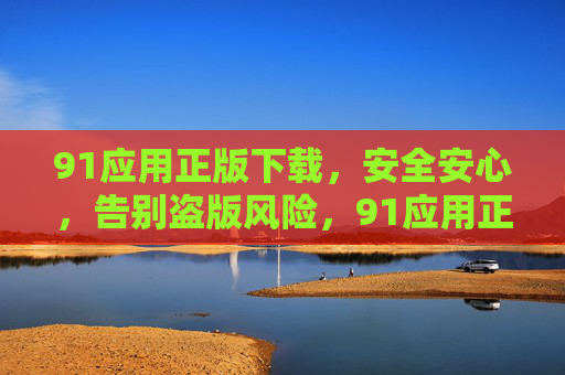 91应用正版下载，安全安心，告别盗版风险，91应用正版下载，安全安心，告别盗版风险
