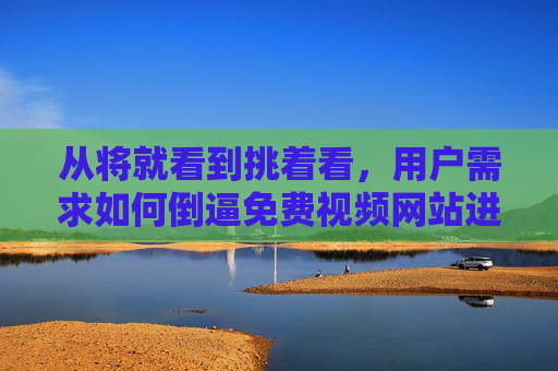 从将就看到挑着看，用户需求如何倒逼免费视频网站进化，从将就看到挑着看，用户需求倒逼免费视频网站进化
