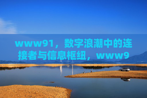 www91，数字浪潮中的连接者与信息枢纽，www91，数字浪潮中的连接者与信息枢纽
