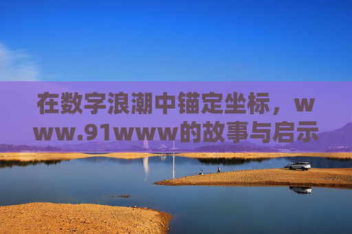 在数字浪潮中锚定坐标，www.91www的故事与启示，数字浪潮中锚定坐标，www.91www的故事与启示