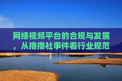 网络视频平台的合规与发展，从撸撸社事件看行业规范与责任，从撸撸社事件看网络视频平台合规发展与行业规范责任