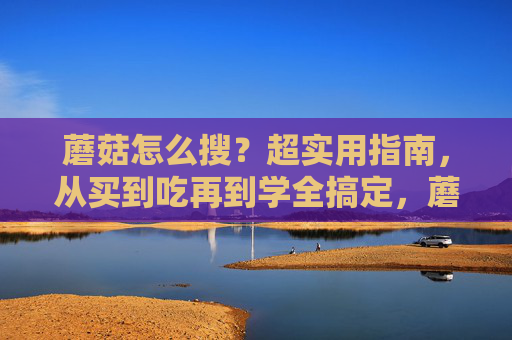 蘑菇怎么搜？超实用指南，从买到吃再到学全搞定，蘑菇超实用全指南，从买到吃再到学全搞定