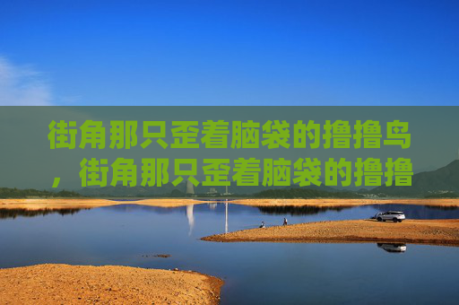 街角那只歪着脑袋的撸撸鸟，街角那只歪着脑袋的撸撸鸟