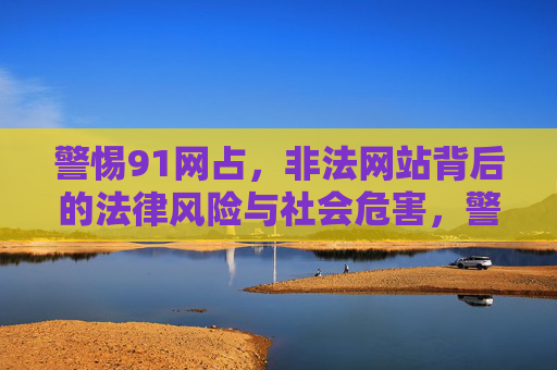 警惕91网占，非法网站背后的法律风险与社会危害，警惕91网占，非法网站的法律风险与社会危害