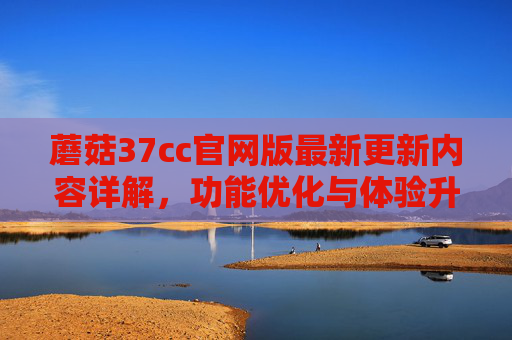 蘑菇37cc官网版最新更新内容详解，功能优化与体验升级，蘑菇37cc官网版最新更新，功能优化与体验升级详解