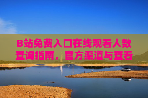 B站免费入口在线观看人数查询指南，官方渠道与查看技巧，B站在线观看人数查询指南，官方渠道与查看技巧
