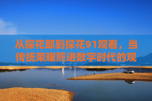 从探花郎到探花91观看，当传统荣耀照进数字时代的观看之道，传统荣耀照进数字观看，探花郎的当代之道