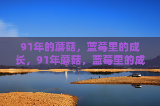 91年的蘑菇，蓝莓里的成长，91年蘑菇，蓝莓里的成长