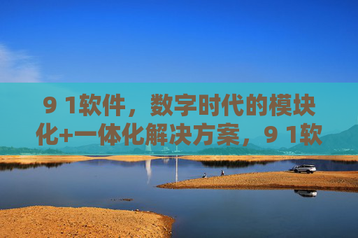 9 1软件，数字时代的模块化+一体化解决方案，9 1软件，数字时代的模块化一体化解决方案