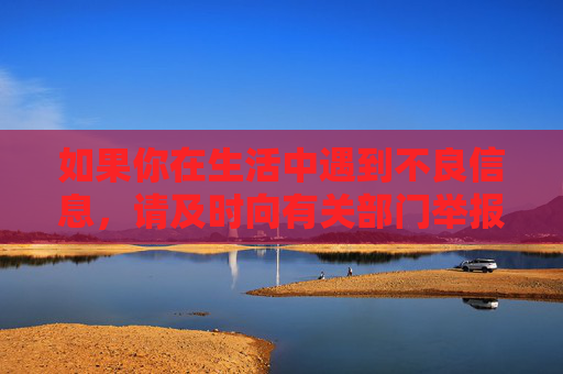 如果你在生活中遇到不良信息，请及时向有关部门举报，共同维护健康、文明、有序的网络空间。让我们携手共建一个风清气正的网络家园，为社会的和谐发展贡献力量，举报不良信息，共建清朗网络