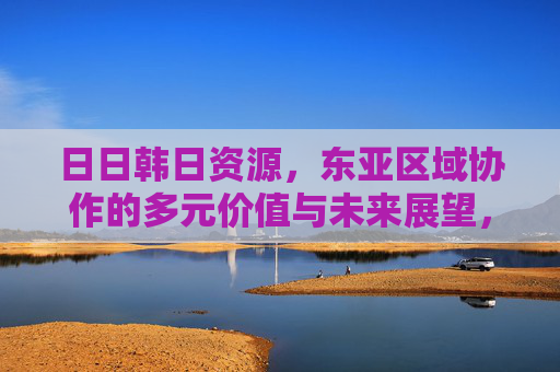 日日韩日资源，东亚区域协作的多元价值与未来展望，东亚区域协作的多元价值与未来展望