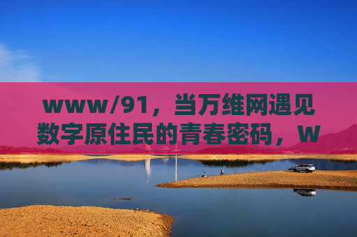 www/91，当万维网遇见数字原住民的青春密码，WWW/91，万维网与数字原住民的青春密码相遇