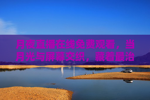 月夜直播在线免费观看，当月光与屏幕交织，藏着最治愈的深夜陪伴，月夜直播，免费治愈的深夜陪伴
