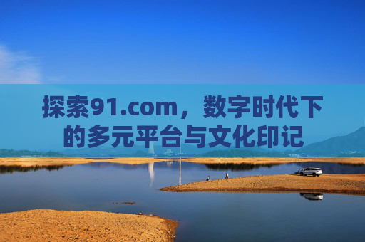 探索91.com，数字时代下的多元平台与文化印记