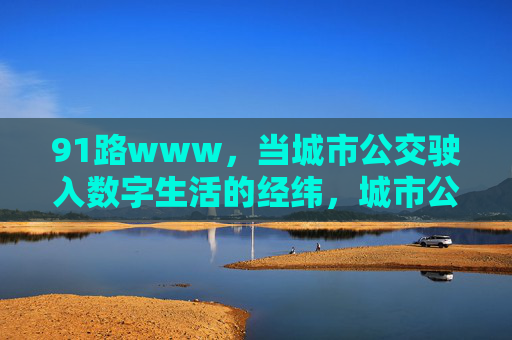 91路www，当城市公交驶入数字生活的经纬，城市公交驶入数字生活经纬