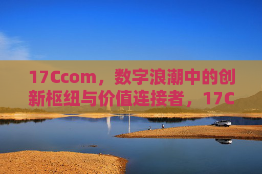 17Ccom，数字浪潮中的创新枢纽与价值连接者，17Ccom，数字浪潮中的创新枢纽与价值连接者
