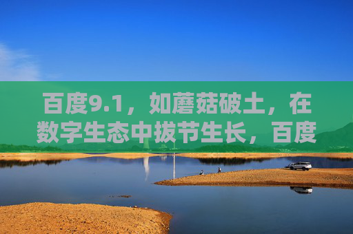 百度9.1，如蘑菇破土，在数字生态中拔节生长，百度9.1，数字生态中的破土生长