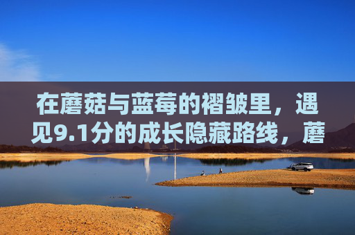在蘑菇与蓝莓的褶皱里，遇见9.1分的成长隐藏路线，蘑菇与蓝莓褶皱里的9.1分成长秘径