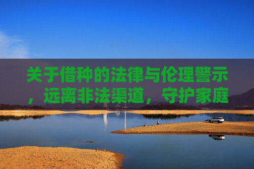 关于借种的法律与伦理警示，远离非法渠道，守护家庭健康，借种的法律伦理警示，远离非法渠道，守护家庭健康