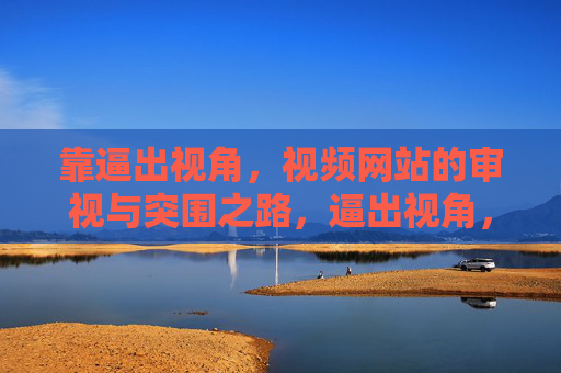 靠逼出视角，视频网站的审视与突围之路，逼出视角，视频网站的审视与突围之路
