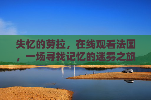 失忆的劳拉，在线观看法国，一场寻找记忆的迷雾之旅，迷雾寻忆，失忆劳拉的法国之旅