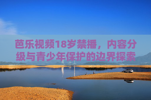 芭乐视频18岁禁播，内容分级与青少年保护的边界探索，芭乐视频18岁禁播，内容分级与青少年保护的边界探索