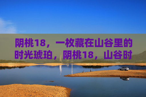 阴桃18，一枚藏在山谷里的时光琥珀，阴桃18，山谷时光琥珀