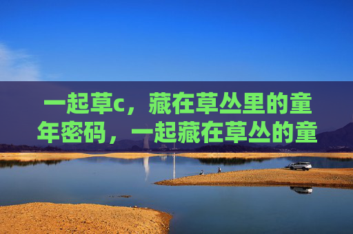 一起草c，藏在草丛里的童年密码，一起藏在草丛的童年密码