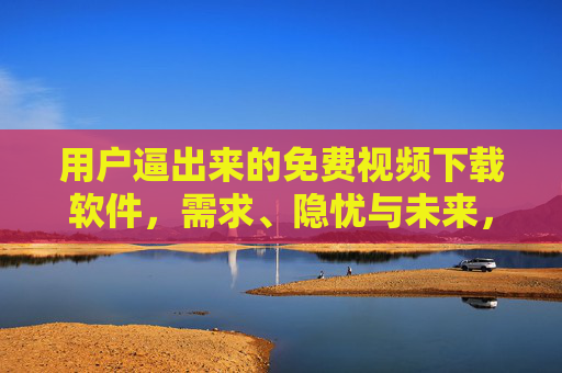 用户逼出来的免费视频下载软件，需求、隐忧与未来，用户逼出来的免费视频下载软件，需求、隐忧与未来