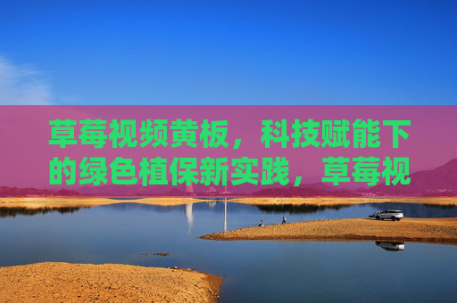 草莓视频黄板，科技赋能下的绿色植保新实践，草莓视频黄板，科技赋能绿色植保新实践