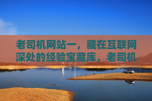老司机网站一，藏在互联网深处的经验宝藏库，老司机网站，互联网深处的经验宝藏库