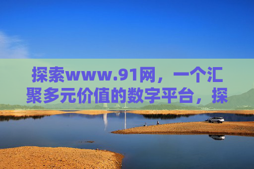 探索www.91网，一个汇聚多元价值的数字平台，探索www.91网，多元价值的数字平台