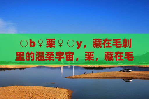 ○b♀栗♀○y，藏在毛刺里的温柔宇宙，栗，藏在毛刺里的温柔宇宙