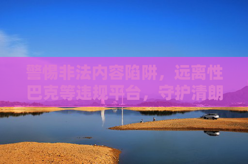 警惕非法内容陷阱，远离性巴克等违规平台，守护清朗网络空间，警惕非法陷阱，远离违规平台，守护清朗网络空间