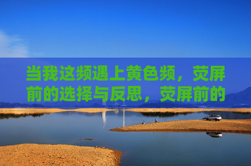 当我这频遇上黄色频，荧屏前的选择与反思，荧屏前的选择与反思，这频遇上黄色频