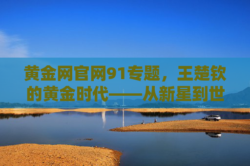 黄金网官网91专题，王楚钦的黄金时代——从新星到世界乒坛的领军者，王楚钦的黄金时代，从新星到领军者