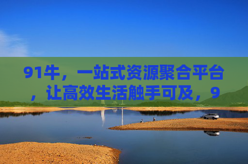 91牛，一站式资源聚合平台，让高效生活触手可及，91牛，一站式资源聚合，高效生活触手可及
