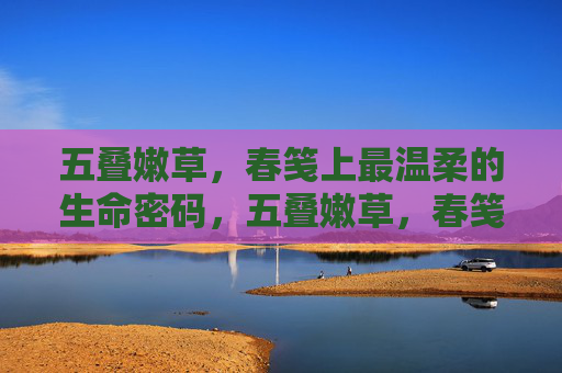 五叠嫩草，春笺上最温柔的生命密码，五叠嫩草，春笺上的温柔生命密码