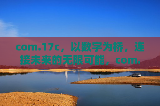 com.17c，以数字为桥，连接未来的无限可能，com.17c，数字桥接未来无限可能