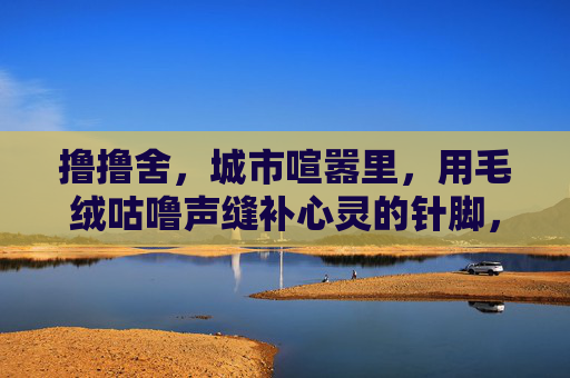 撸撸舍，城市喧嚣里，用毛绒咕噜声缝补心灵的针脚，撸撸舍，毛绒咕噜声缝补喧嚣心灵的针脚