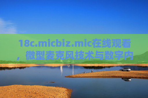 18c.micbiz.mic在线观看，微型麦克风技术与数字内容传播的新探索，微型麦克风技术与数字内容传播的新探索