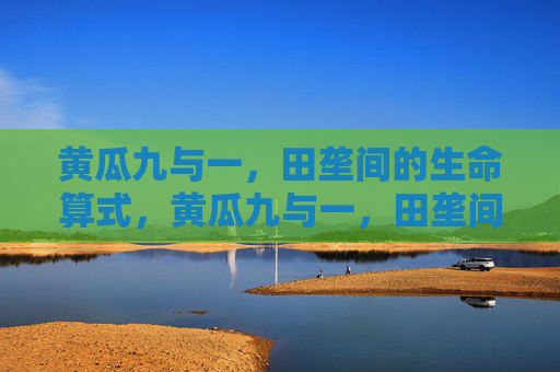 黄瓜九与一，田垄间的生命算式，黄瓜九与一，田垄间的生命算式
