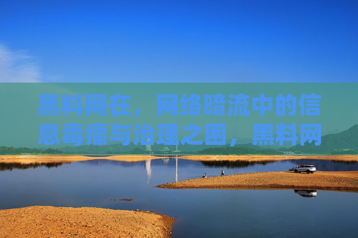 黑料网在，网络暗流中的信息毒瘤与治理之困，黑料网，网络暗流中的信息毒瘤与治理之困