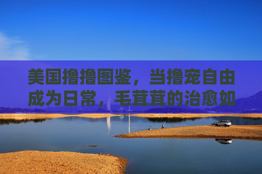 美国撸撸图鉴，当撸宠自由成为日常，毛茸茸的治愈如何渗透生活，撸宠自由日常，毛茸茸的治愈渗透生活
